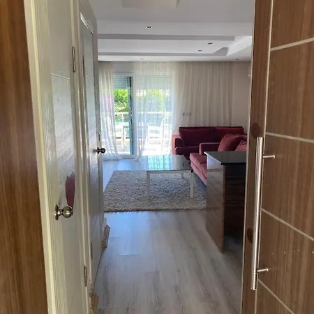 Anatolia Park Side * シダ